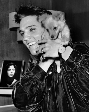  Elvis and his dog💛