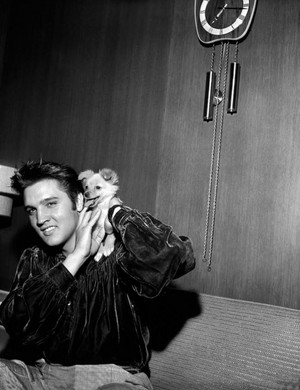 Elvis and his dog💛
