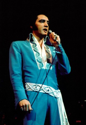  Elvis 💛