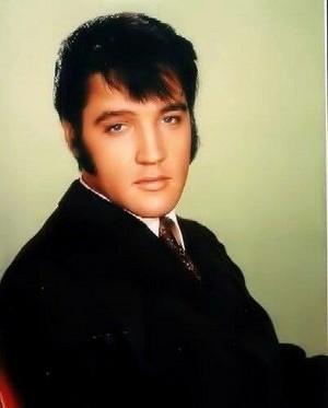Elvis 💛