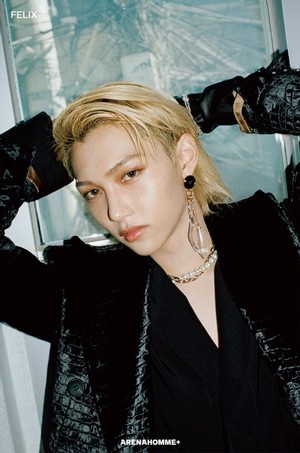  Felix for Arena Homme