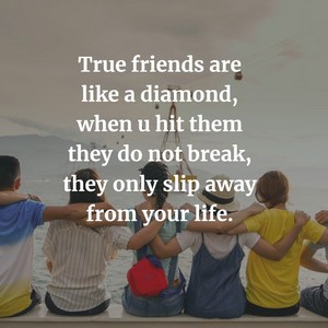  Friendship