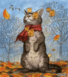  Have a beautiful autumn alice🧡🍂