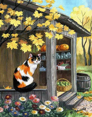  Have a beautiful autumn my Betty shii!!🧡🍂