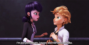  Marinette and Adrien