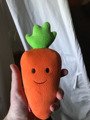 Mr. Carrot!