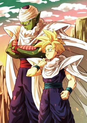  Piccolo and Teen Gohan DBZ