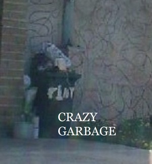  crazy garbage 8
