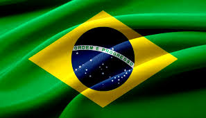  Brazilian Flag
