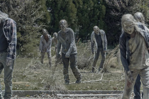  11x05 ~ Out of the Ashes ~ Walkers