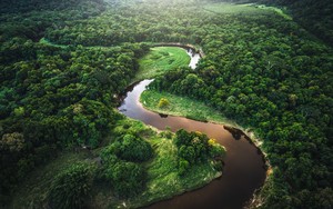  amazonas, amazon || Hintergrund