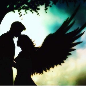  angeli of Amore 💙