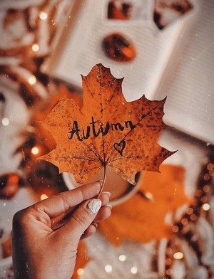  Autumn Vibes 🍁