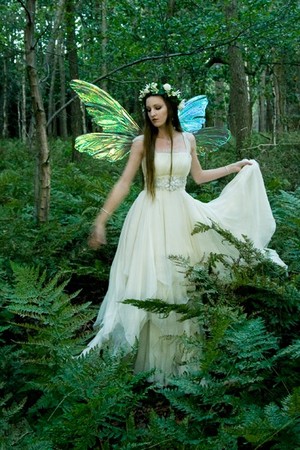 Beautiful Fairy 💜