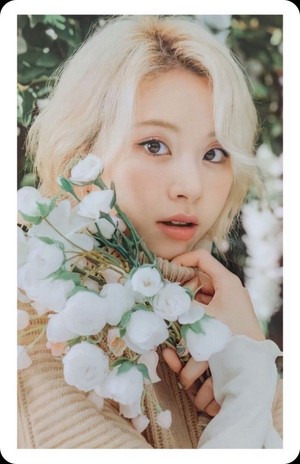  Better - Limited Hi Touch PhotoCard