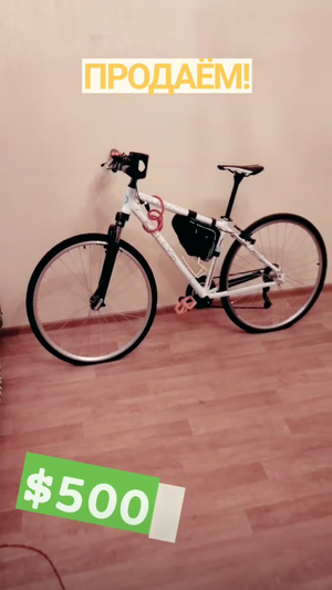  Blogger Xlson137 sells his hybrid bike! (2021)