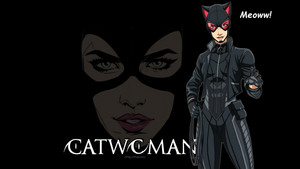  Catwoman's New Outfit. 1a