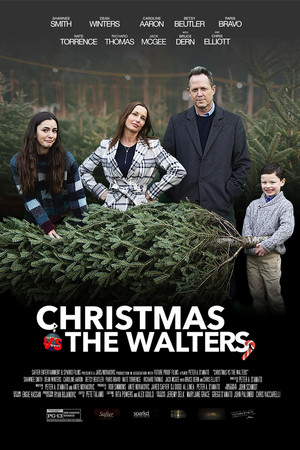  クリスマス vs. The Walters (2021) Poster