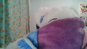  Elsa Bear's Playing Hide And Seek, Can 你 Find Her?