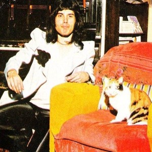  Freddie Mercury And His Cat