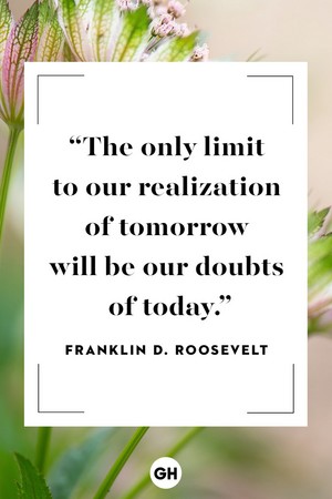 Quote by Franklin D. Roosevelt 🦋