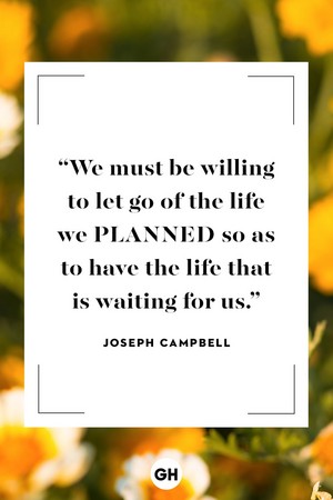 Quote by Joseph Campbell 🦋