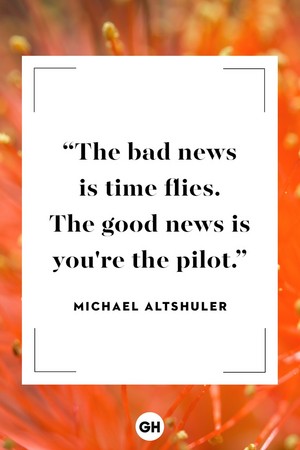 Quote by Michael Altshuler 🦋