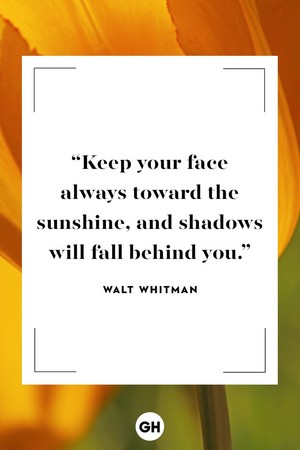  Quote bởi Walt Whitman​ 🦋