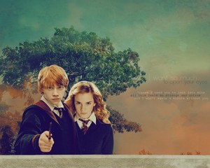Ron/Hermione Wallpaper