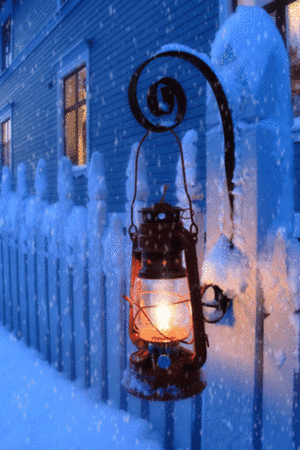  Winter Magic For Berni ❄️
