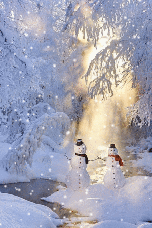  Winter Magic For Berni ❄️