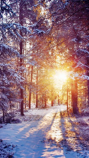  Winter Magic for Sunny ❄️