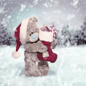 Winter Teddies For A Dear Friend ❄️