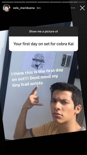  Xolo on the first день of filming CK
