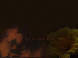  Zoe/Wash Обои - My Autumn цветок