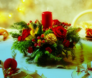 flowers for christmas 