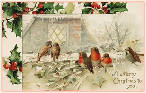  Vintage Birds Illustration ( "A Merry Natale to you!")