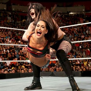  Brie Bella Fighting With Tights In 2014