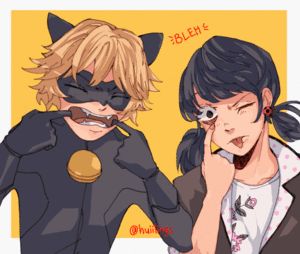  Chat noir and Marinette