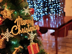  क्रिस्मस Ornaments 🎄