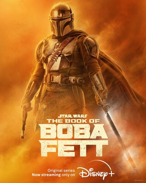 Din Djarin || The Book of Boba Fett || Character Poster 