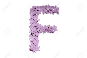  bloem Letter F Lïlac of Purple Color Isolated On Whïte Background