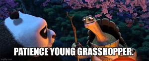  Kung Fu Panda Quote, Patience Young Grasshopper. Meme .