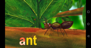  Learn The ABCs In Lower-Case: "A" Is For Ant And سیب, ایپل