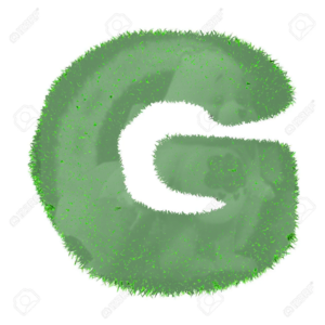  Letter G Made Of erba Isolated On Whïte Background Stock foto