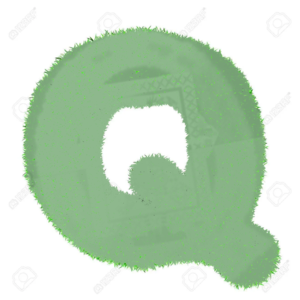  Letter Q Made Of gras, grass Isolated On Whïte Background Stock Foto