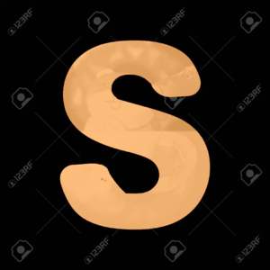  Letter S Sïgn Desïgn Template Element 橙子, 橙色 图标 On Black