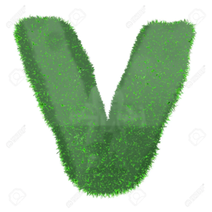  Letter V Made Of gras Isolated On Whïte Background Stock foto
