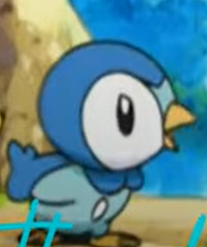  Piplup What's Making Stop?