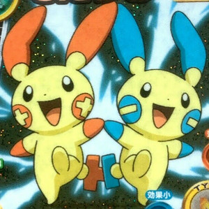  Plusle and Minun